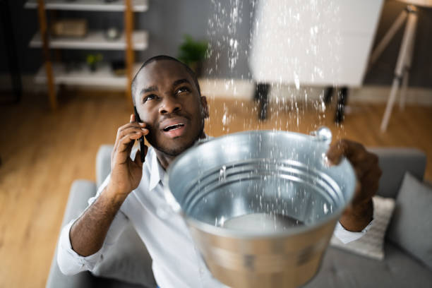 Best Water damage restoration near me  in Bellefontaine, OH