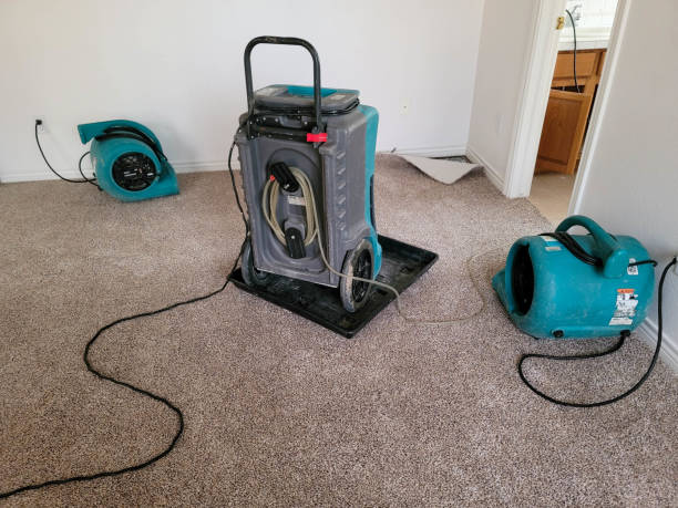 Best Sewage cleanup and water damage restoration  in Bellefontaine, OH