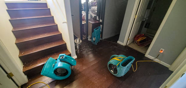 Best Water damage repair service  in Bellefontaine, OH