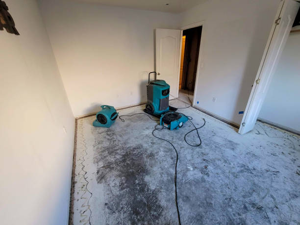 Water damage restoration mold remediation in OH