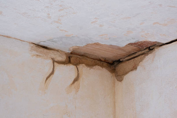 Best Local water damage restoration  in Bellefontaine, OH