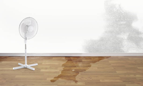 Best Water damage restoration services  in Bellefontaine, OH