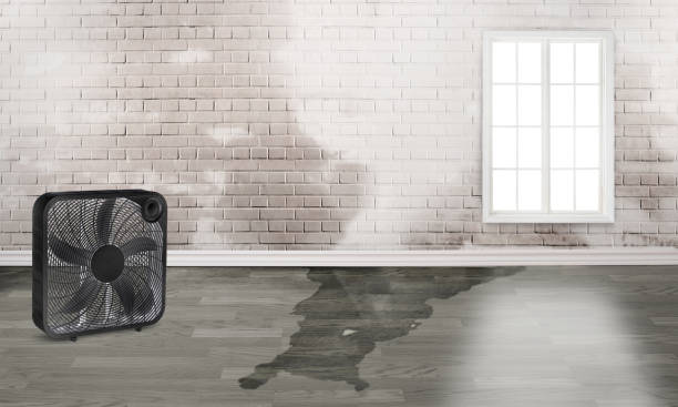 Best Residential water damage restoration  in Bellefontaine, OH