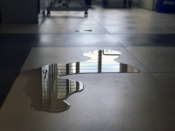 Best Water damage cleanup near me  in Bellefontaine, OH