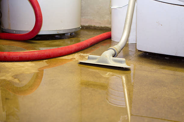 Best 24-hour water damage restoration  in Bellefontaine, OH