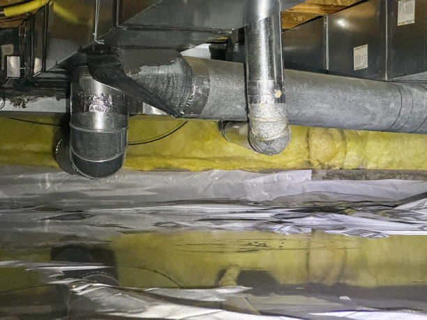 Best Flooded house restoration  in Bellefontaine, OH